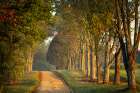 Roadway and fences on horse farm at sunrise, Oldham County, Kentucky Art Print